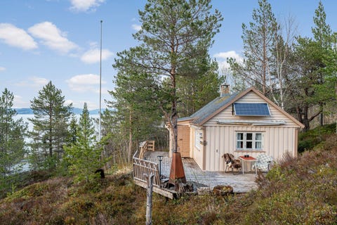 Bilde 1 av annonsen