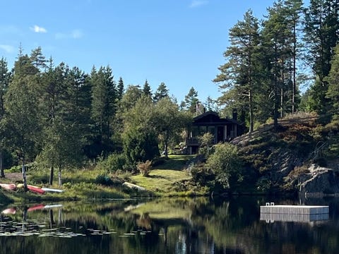 Bilde 1 av annonsen