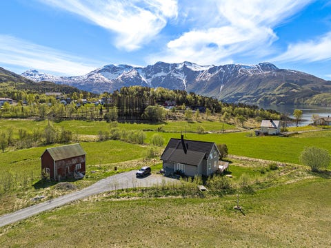 Bilde 1 av annonsen