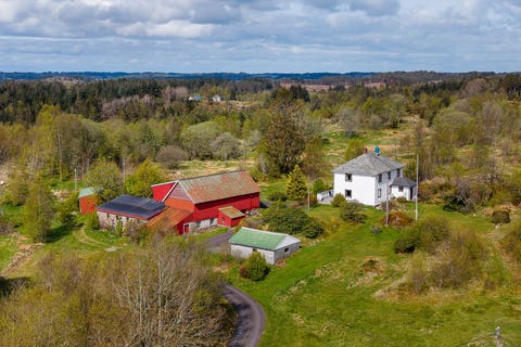 Bilde 1 av annonsen