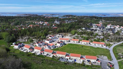 Bilde 1 av annonsen
