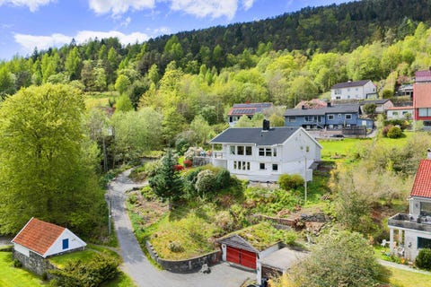 Bilde 1 av annonsen
