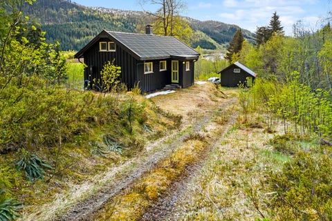 Bilde 2 av annonsen