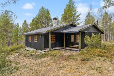 Bilde 1 av annonsen