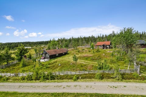 Bilde 1 av annonsen