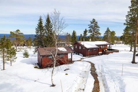 Bilde 1 av annonsen
