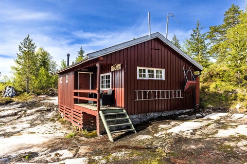Bilde 1 av annonsen