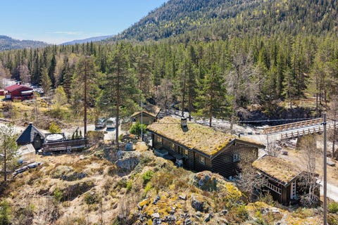 Bilde 1 av annonsen