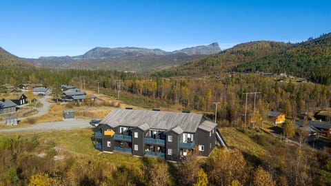 Bilde 1 av annonsen