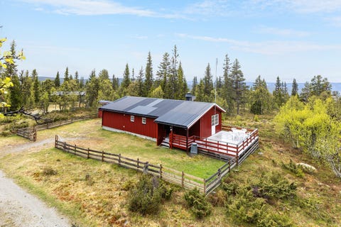 Bilde 1 av annonsen