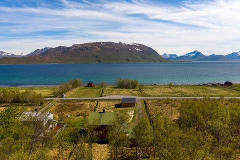 Bilde 1 av annonsen