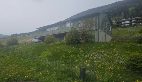 Bilde 2 av annonsen