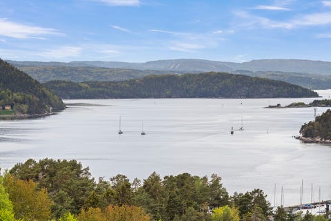 Bilde 2 av annonsen