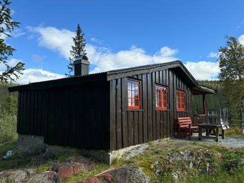 Bilde 1 av annonsen