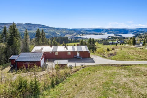 Bilde 1 av annonsen