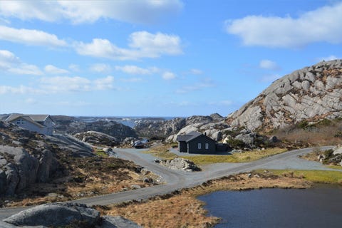 Bilde 1 av annonsen