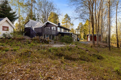 Bilde 1 av annonsen