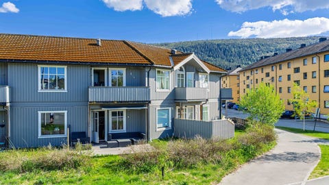 Bilde 1 av annonsen