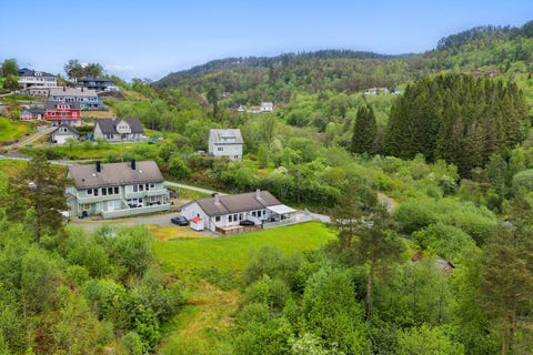 Bilde 1 av annonsen