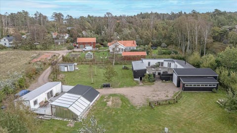 Bilde 1 av annonsen