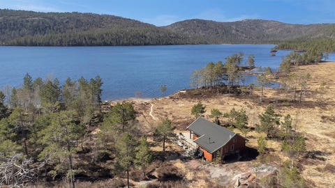 Bilde 1 av annonsen