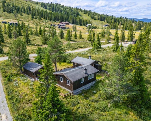 Bilde 1 av annonsen
