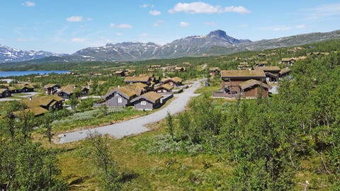 Bilde 1 av annonsen