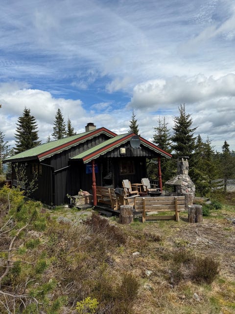 Bilde 1 av annonsen