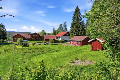 Bilde 1 av annonsen