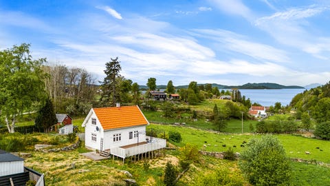 Bilde 1 av annonsen