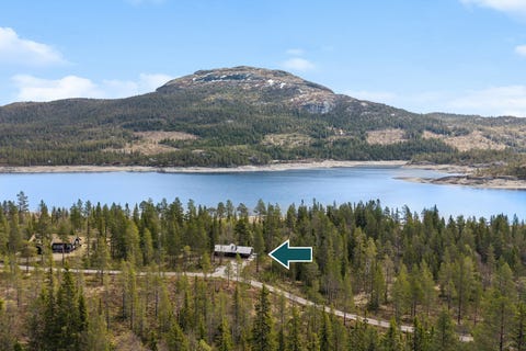 Bilde 1 av annonsen