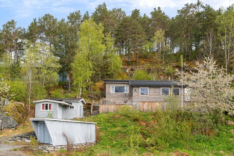 Bilde 1 av annonsen