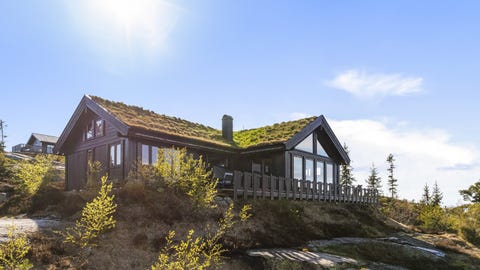 Bilde 2 av annonsen