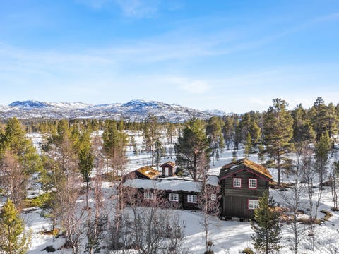 Bilde 1 av annonsen
