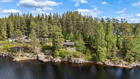 Bilde 1 av annonsen
