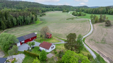 Bilde 1 av annonsen