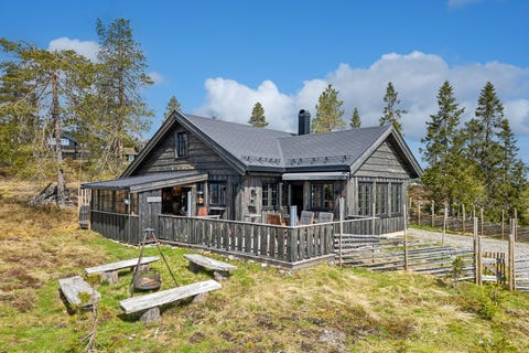 Bilde 1 av annonsen
