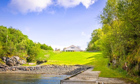 Bilde 2 av annonsen