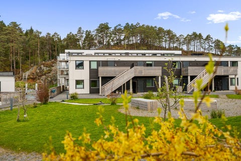 Bilde 1 av annonsen