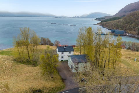 Bilde 1 av annonsen