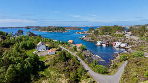 Bilde 1 av annonsen