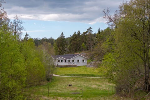 Bilde 1 av annonsen