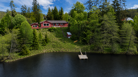 Bilde 1 av annonsen
