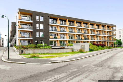 Bilde 1 av annonsen