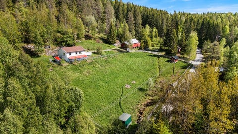 Bilde 1 av annonsen