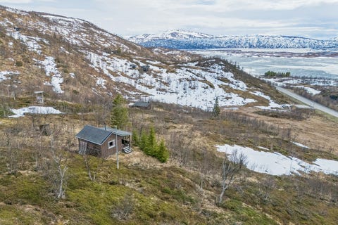 Bilde 1 av annonsen