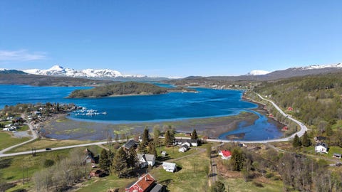 Bilde 1 av annonsen