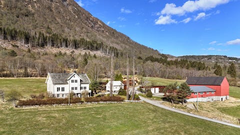 Bilde 1 av annonsen