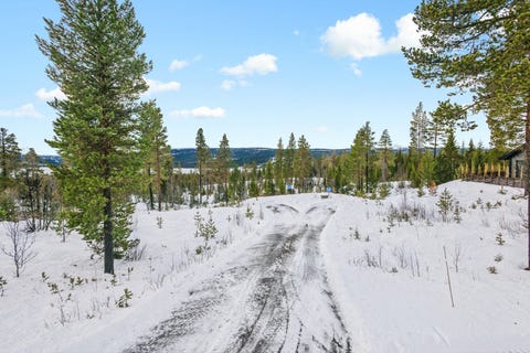 Bilde 2 av annonsen