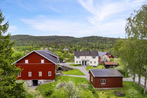 Bilde 1 av annonsen